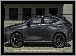 Sport, Lexus NX, F